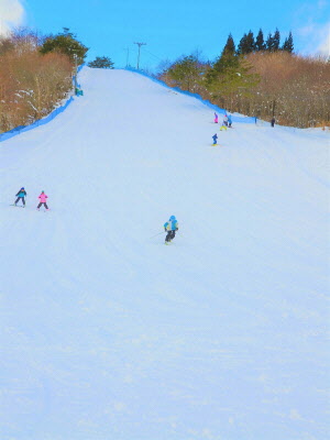 上ノ岱スキー場の写真
